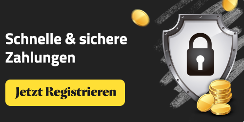 sichere zahlungen mit schutzschild und münzen